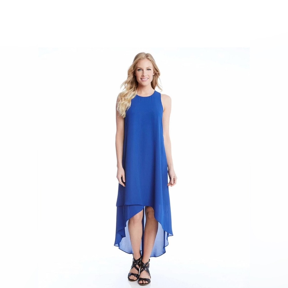 Karen Kane Iris Rosewater Asymmetric Hi-Lo
Hem Chiffon Dress